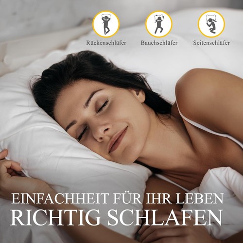 Daunenkissen kopfkissen - daunenkissen,